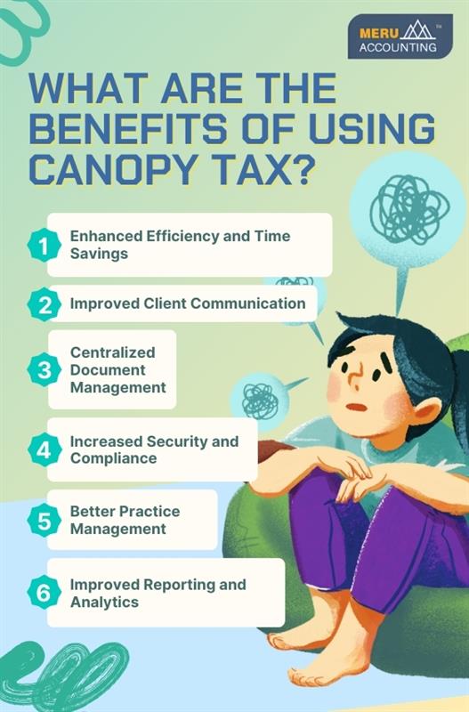 canopy tax software